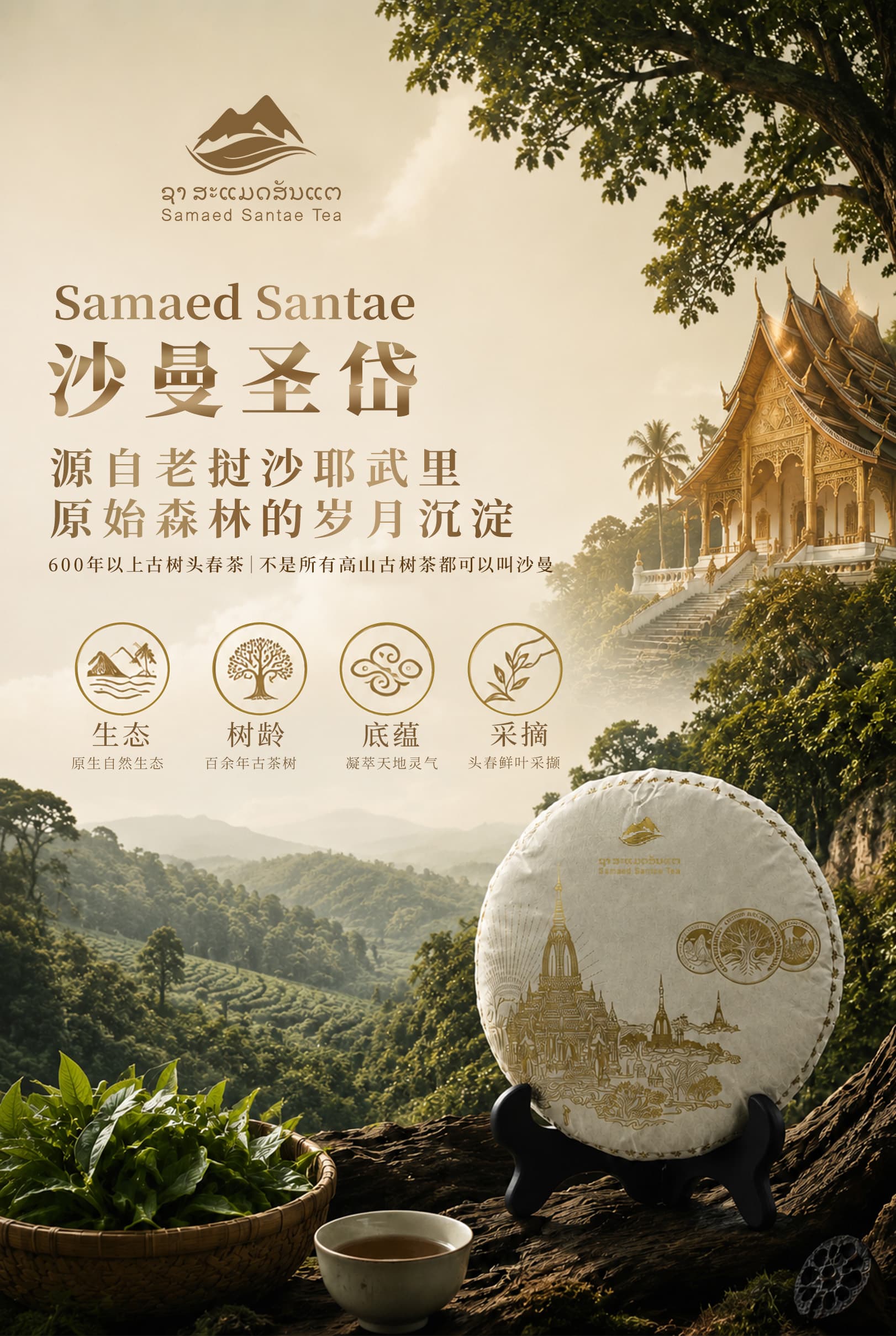 茶山素材