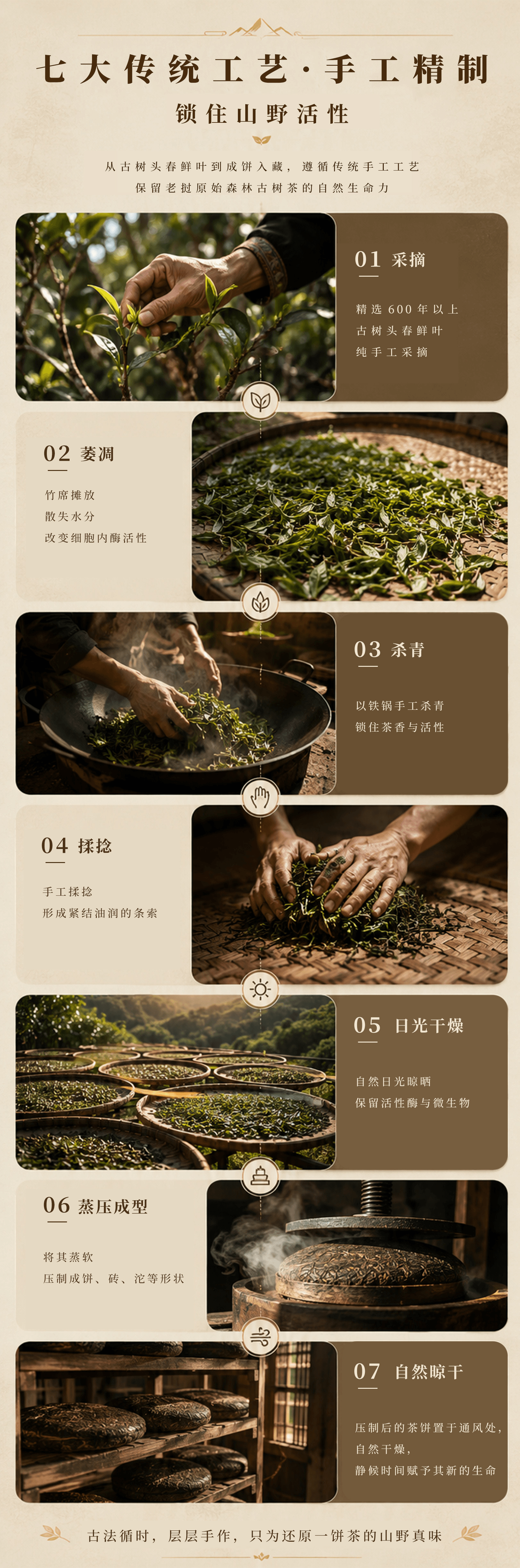 古树茶产品详情第 5 张